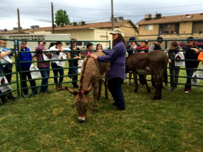 Wild Horse and Burro Program School Presentation photo