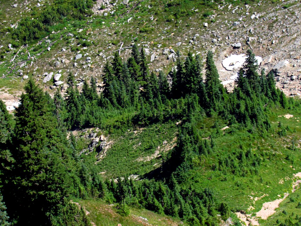 Tatoosh Wilderness in WA