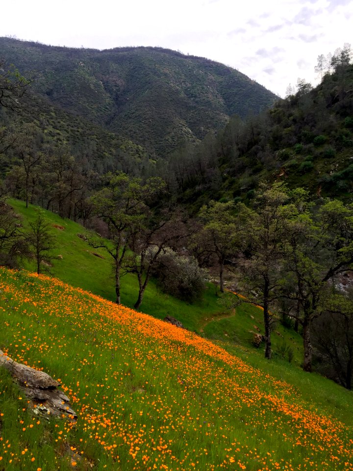 Merced River Recreation Area