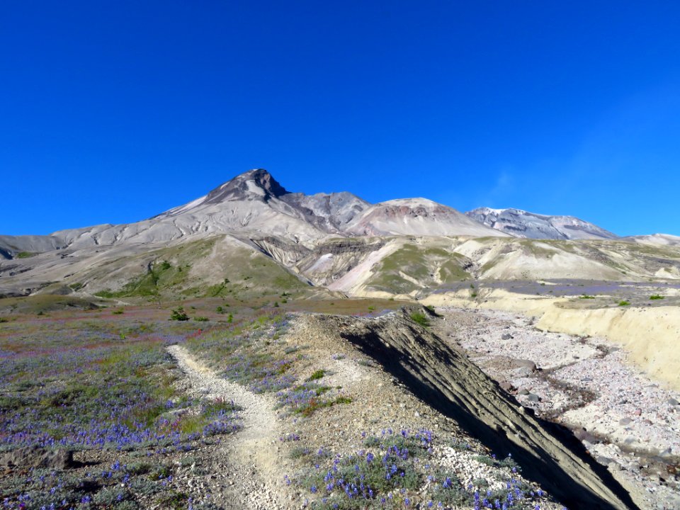 Mt. St. Helens NM in WA