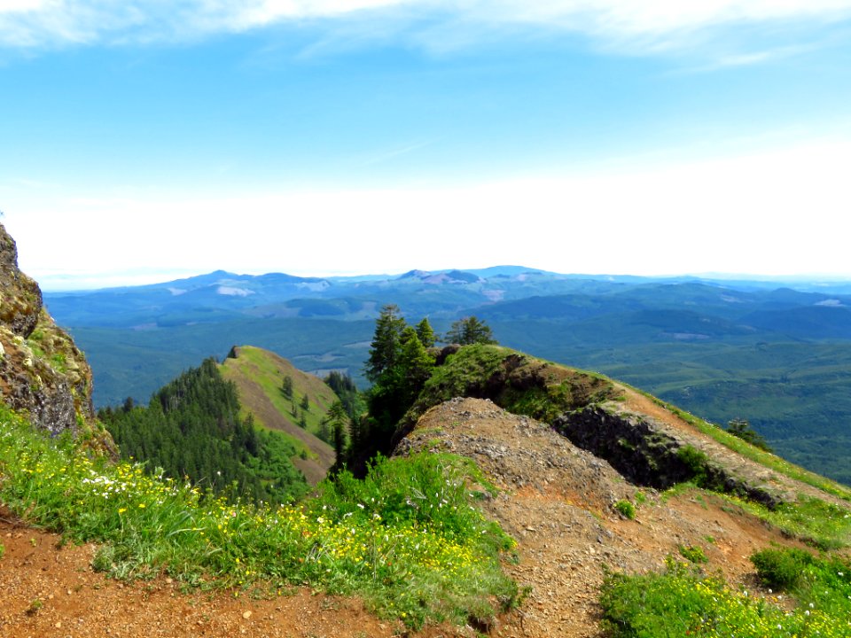 Saddle Mountain Trail in OR