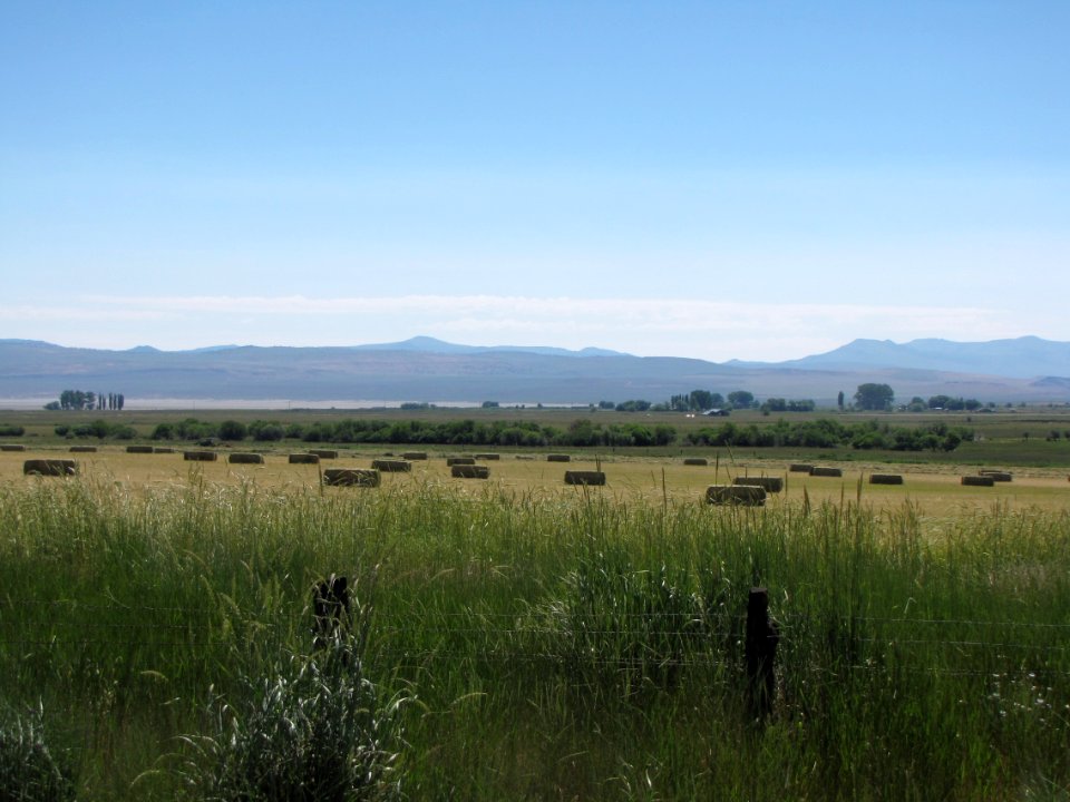 Surprise Valley Barrel Springs Back-Country Byway