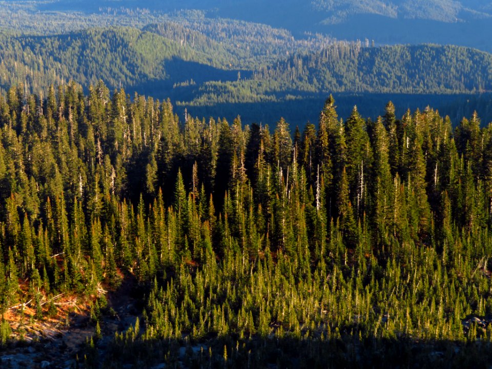 Mt. St. Helens Summit Trail in WA