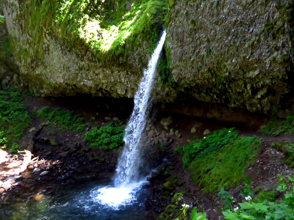 Ponytail Falls at Columbia River Gorge in Oregon