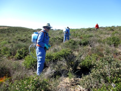 Fort Ord National Monument photo