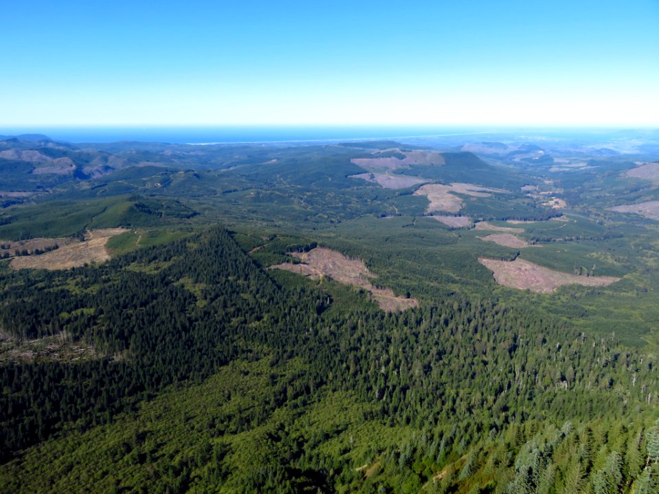 Saddle Mountain Trail in OR