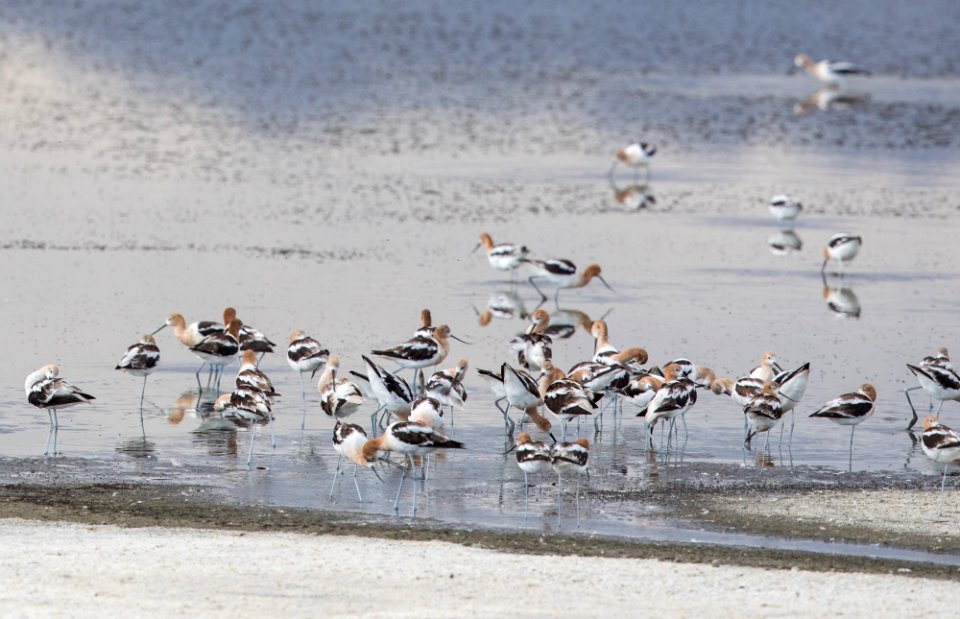 Blanca Wetlands Recreation Area