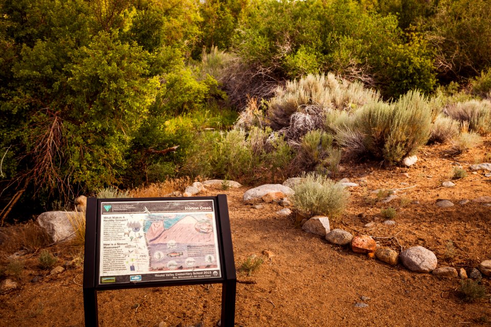 Horton Creek Nature Trail