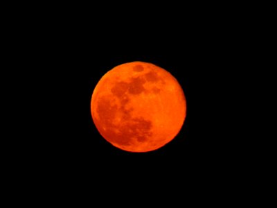 Full Blue Moon in WA 3/31/18 photo