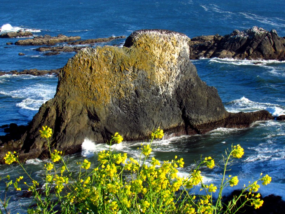 Yaquina Head Natural Area in OR
