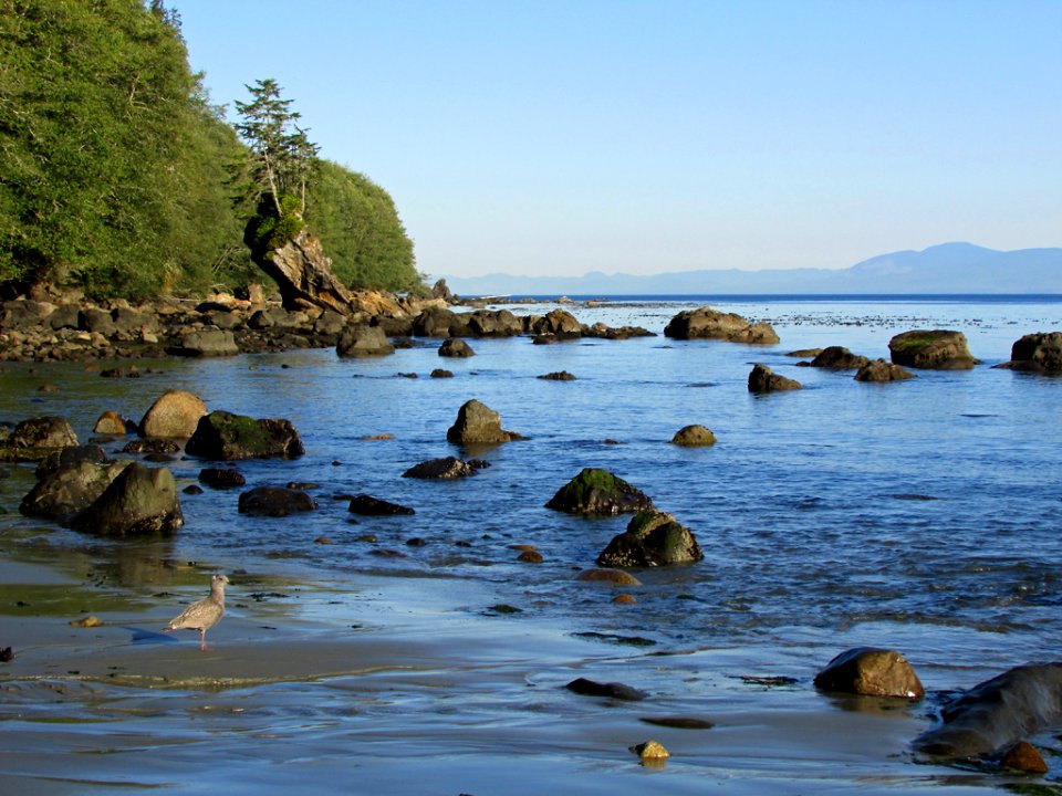 Neah Bay at Pacific Coast in WA