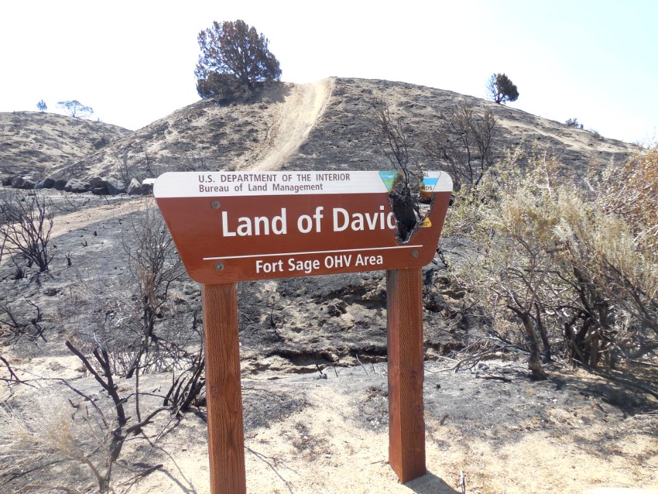 Fort Sage after Long Valley Fire in Eagle Lake Field Office