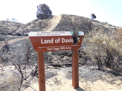 Fort Sage after Long Valley Fire in Eagle Lake Field Office