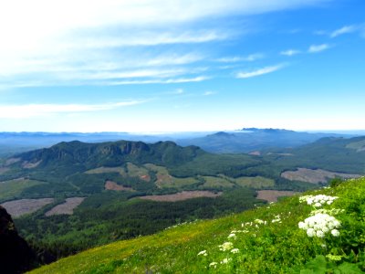 Saddle Mountain Trail in OR