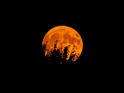 Full Harvest Moon in WA 9/24/18 photo