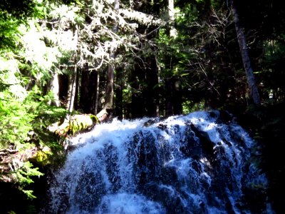 Ramona Falls Hike at Mt. Hood Wilderness in Oregon photo