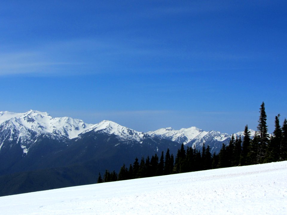 Hurricane Ridge at Olympic NP in WA