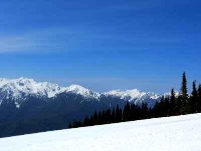 Hurricane Ridge at Olympic NP in WA