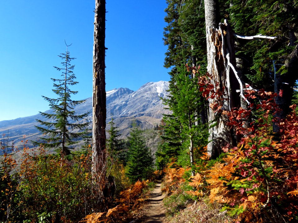 Ape Canyon Trail in WA