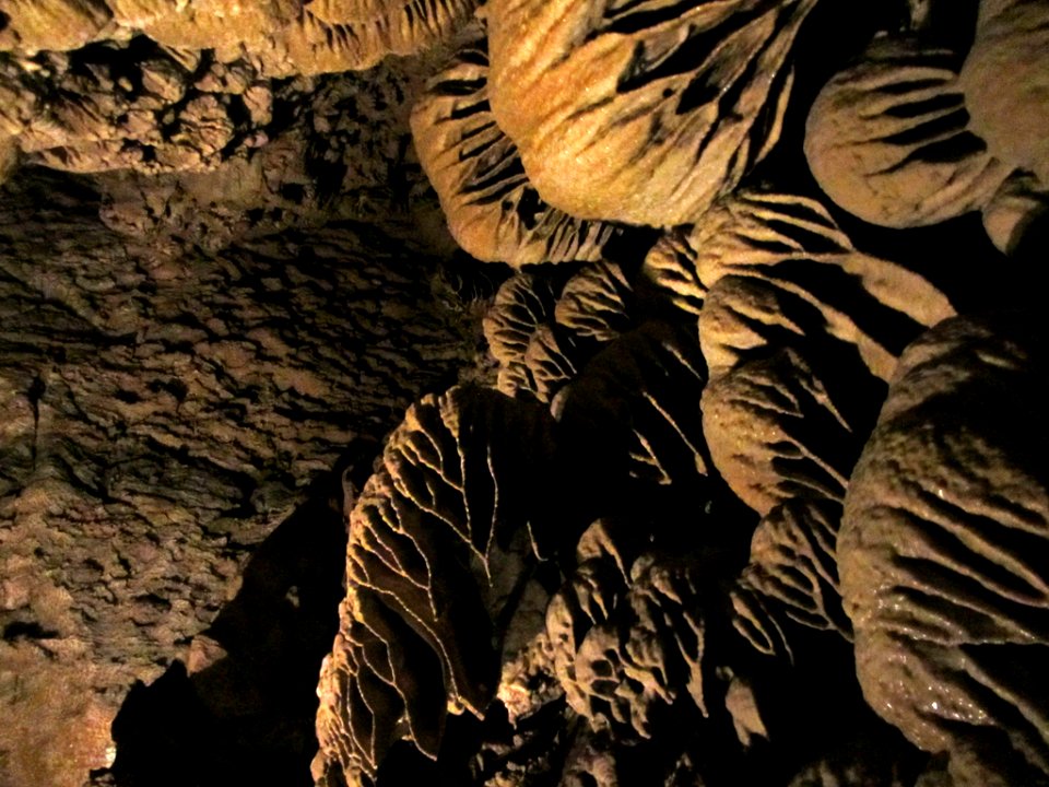 Oregon Caves NM