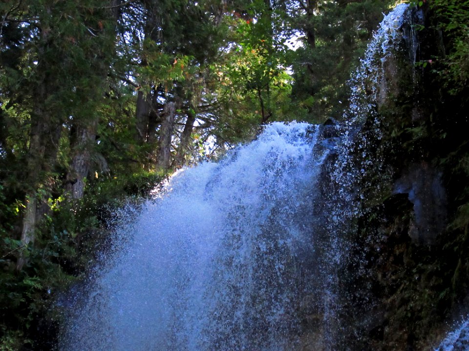 Falls Creek Falls Trail at Gifford Pinchot NF in WA
