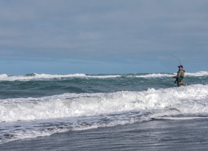 Mike Thompson Wildlife Area, South Spit Humboldt Bay