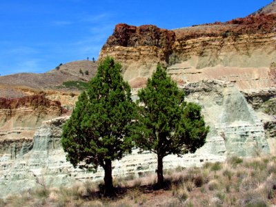 Flood of Fire Trail at John Day Fossil Beds in OR