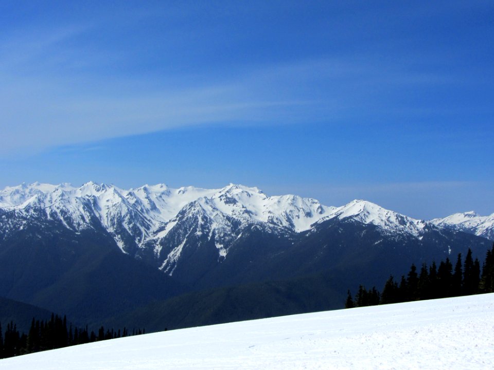 Hurricane Ridge at Olympic NP in WA