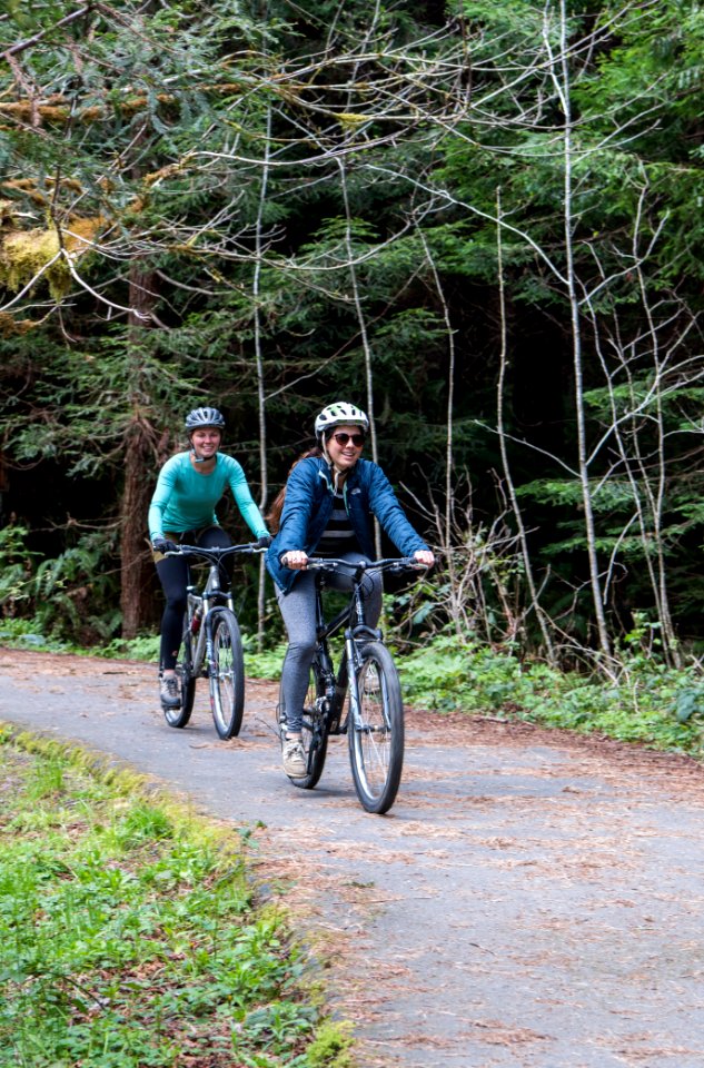 Headwaters Forest Reserve