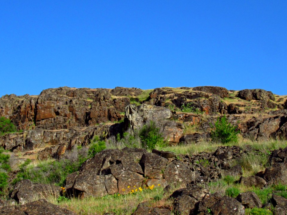 Crawford Oaks Trail at Columbia Hills SP in WA