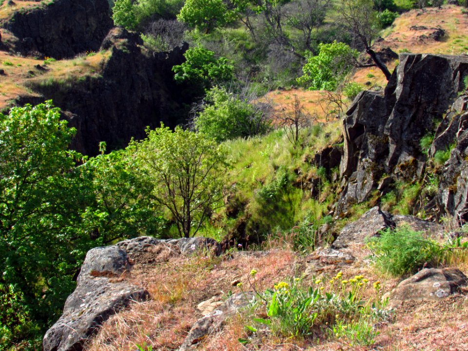 Crawford Oaks Trail at Columbia Hills SP in WA