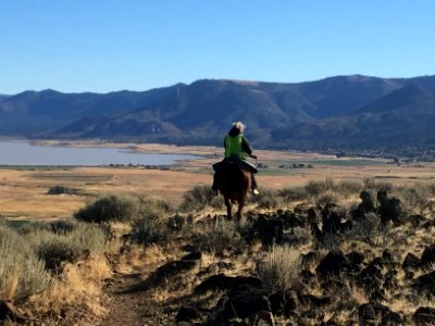 Bald Mountain