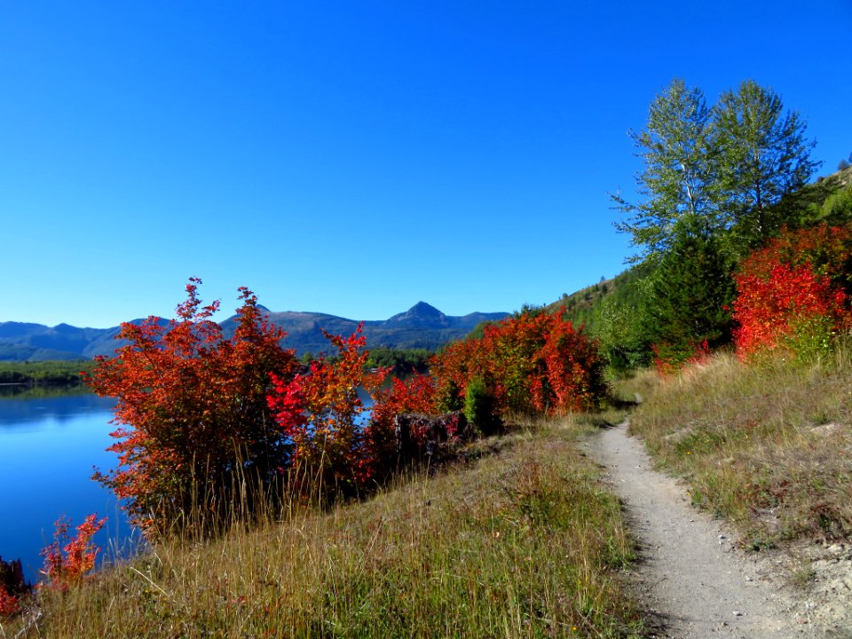 Coldwater Lake Trail in WA