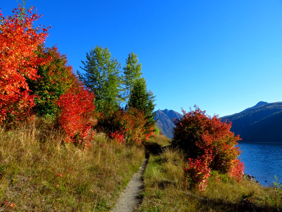 Coldwater Lake Trail in WA