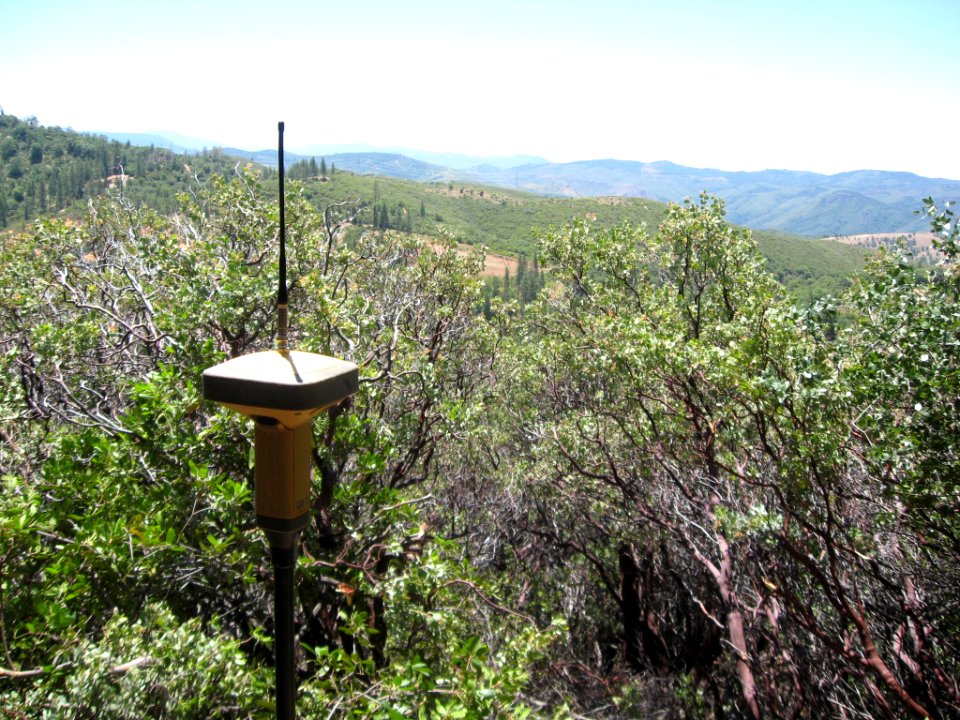 GPS through Dense Manzanita near Big Oak Flat, California