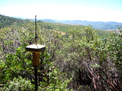 GPS through Dense Manzanita near Big Oak Flat, California