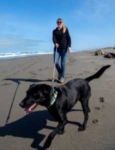 Mike Thompson Wildlife Area, South Spit Humboldt Bay
