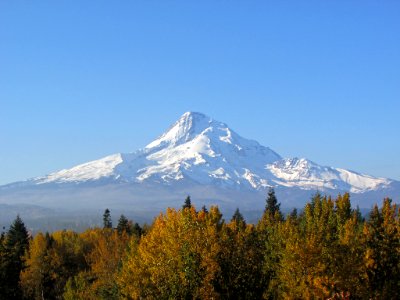 Autumn at Mt. Hood in OR photo