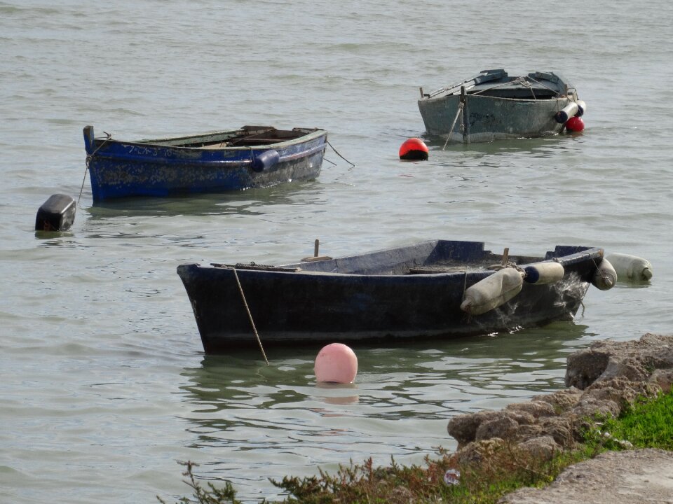 Port browse fishing