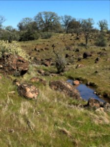 Sacramento River Bend, Yana Trail photo