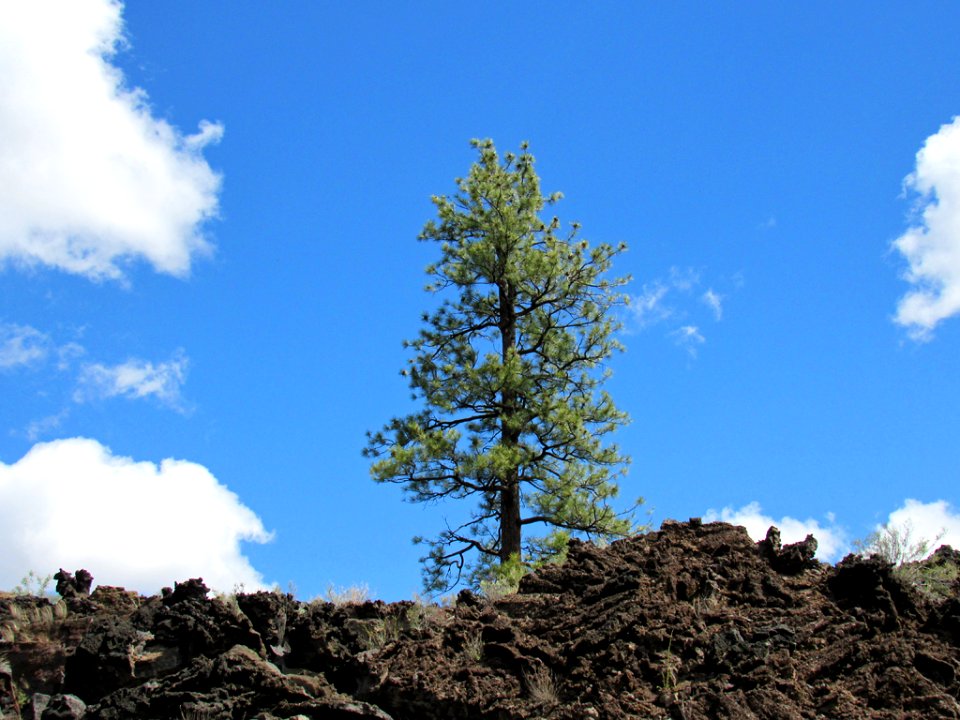 Sunset Crater Volcano NM in Arizona