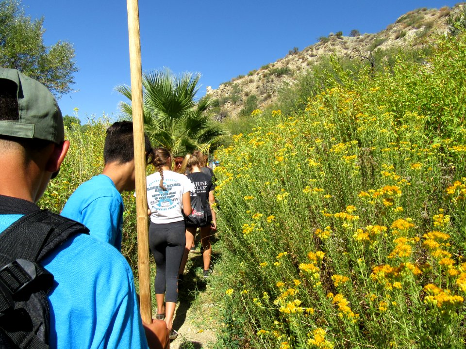 #NPLD 2017: Caring for Big Morongo Canyon Preserve photo