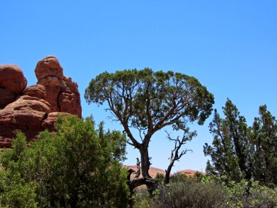 Arches NP in UT photo