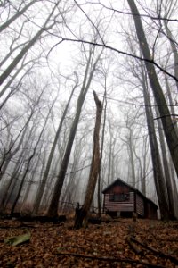 Cabin wide angle portrait