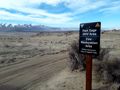 Fire Restoration Area at Fort Sage photo