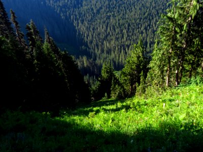 Tatoosh Peak Trail in WA