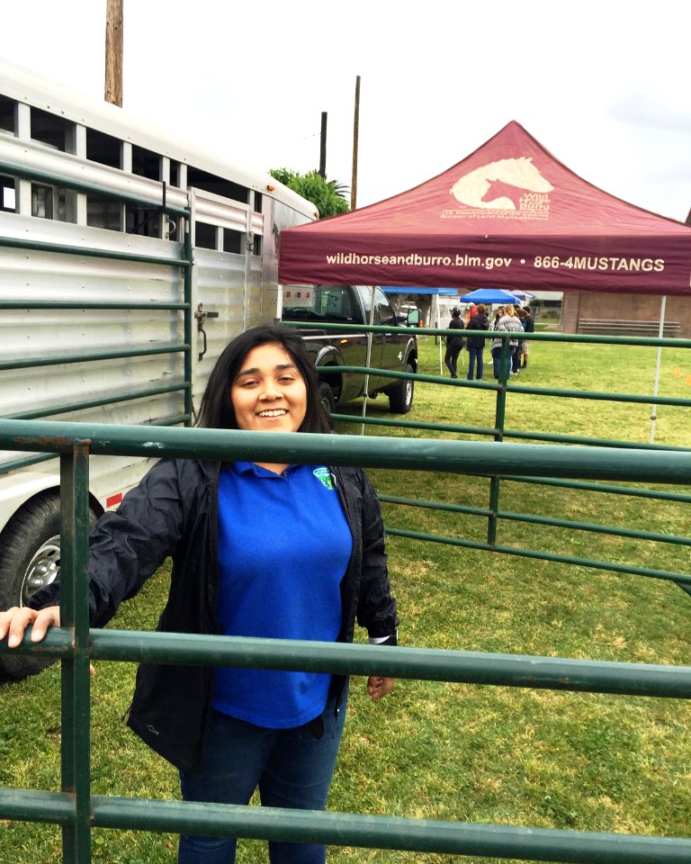 Prepping for BLM Wild Horse and Burro Adoption