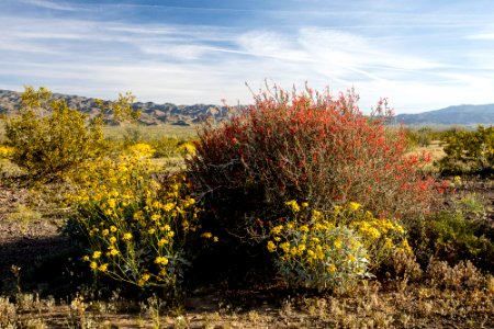 Utilities and Energy in the California Desert