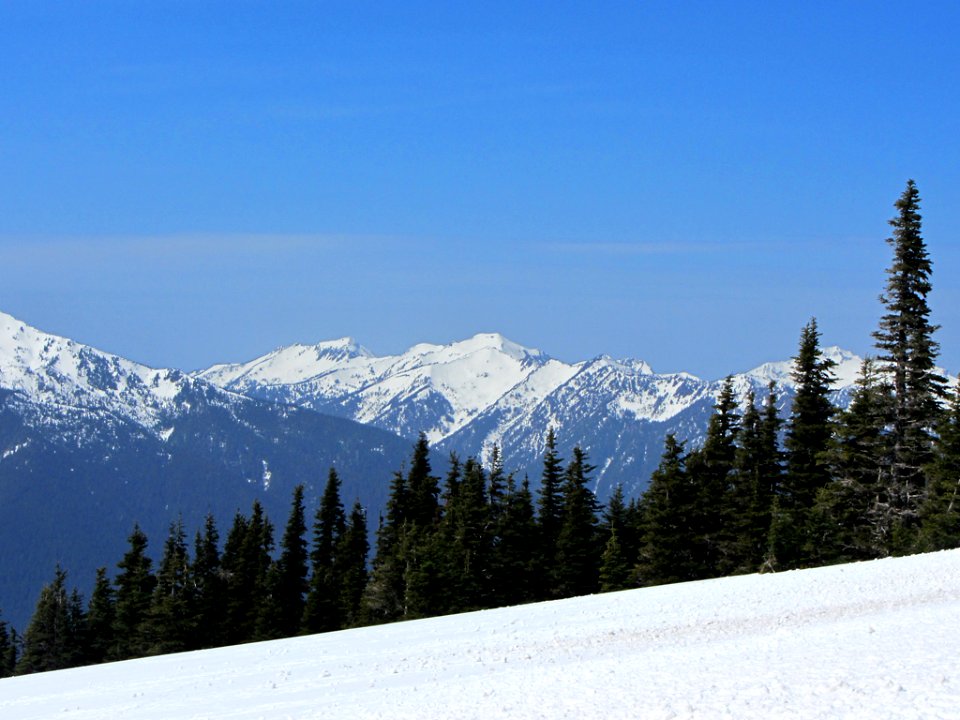 Hurricane Ridge at Olympic NP in WA