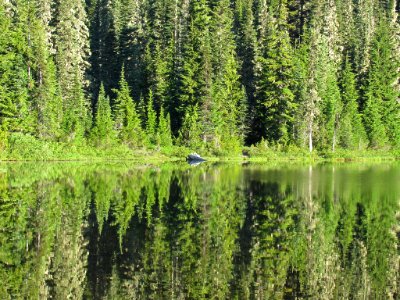 Reflection Lakes at Mt. Rainier NP in Washington photo